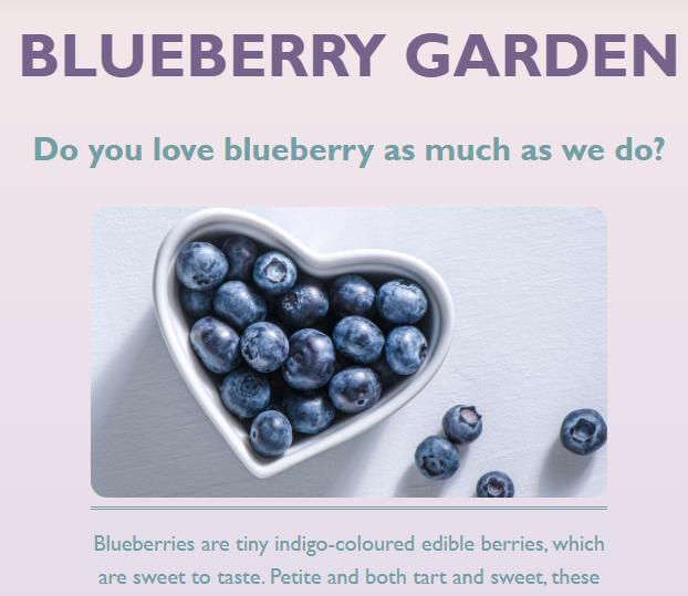 Blueberry project